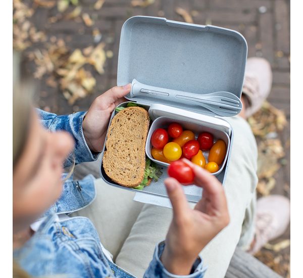 Набор ланч-боксов и столовых приборов Candy Ready, Organic, серый, 2 шт., Koziol, изображение 3