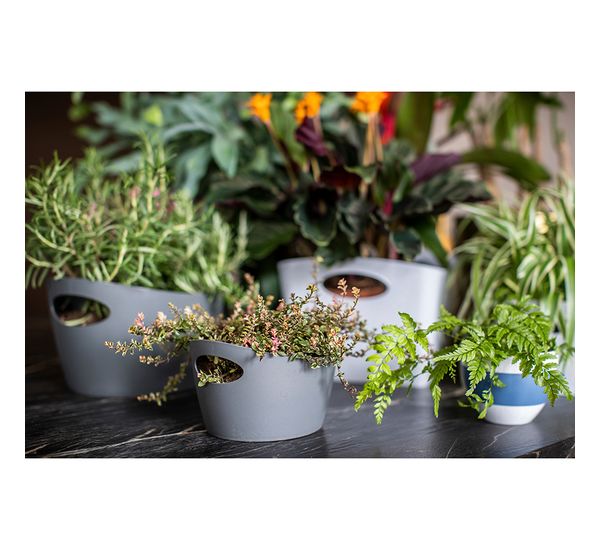 Чашка с термоэффектом Aroma, Organic, 270 мл, синяя, Koziol, изображение 12