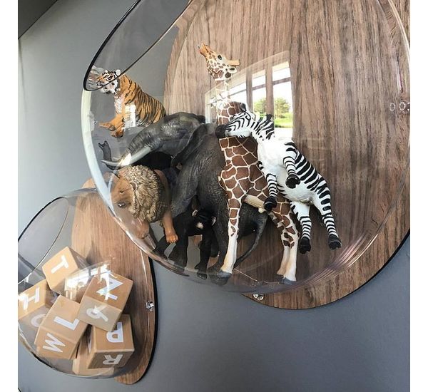 Набор органайзеров Orion, прозрачный, 2 шт., Koziol, изображение 3