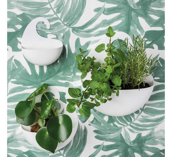 Органайзер для ванной Surf XL, мятный, Koziol, изображение 3