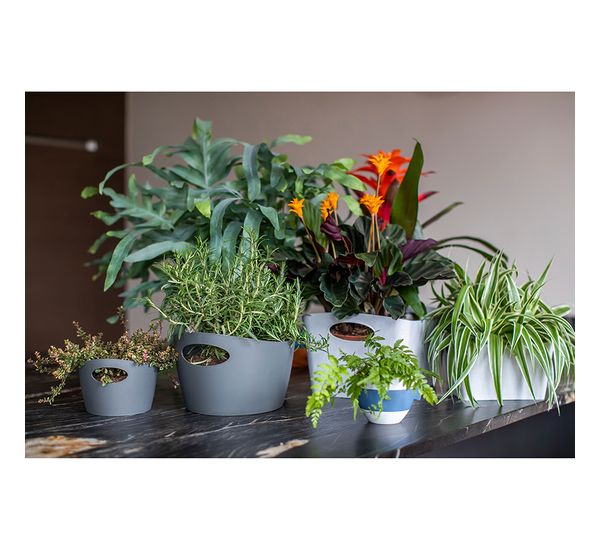 Чашка с термоэффектом Aroma, Organic, 270 мл, коричневая, Koziol, изображение 15