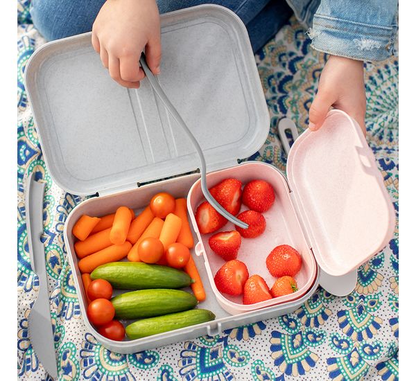 Ланч-бокс Pascal, Organic, 15,2х6х10,7 см, серый, Koziol, изображение 9