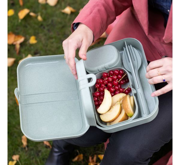 Набор ланч-боксов и столовых приборов Pascal, Organic, розовый, 3 шт., Koziol, изображение 2