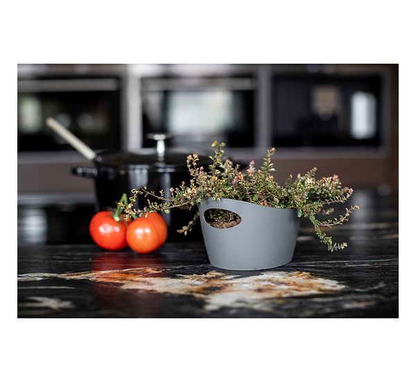 Контейнер для хранения Bottichelli, 450 мл, белый, Koziol, изображение 12