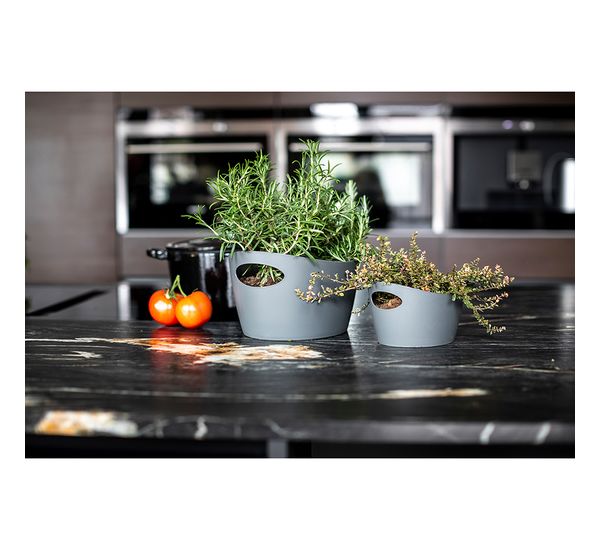 Контейнер для хранения Bottichelli, 450 мл, белый, Koziol, изображение 11