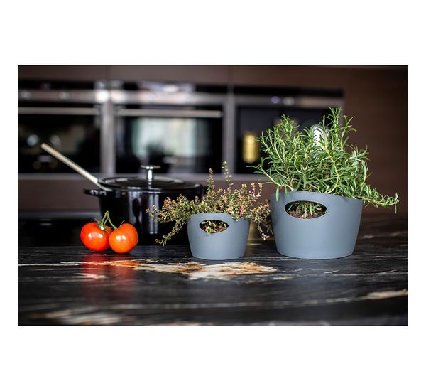 Контейнер для хранения Bottichelli, 450 мл, белый, Koziol, изображение 13