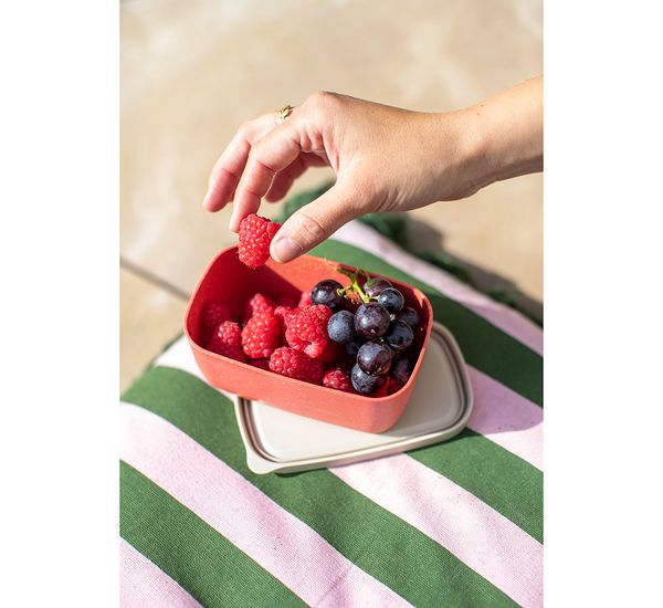 Ланч-бокс Candy, Organic, 12,4х5,3х8 см, темно-серый, Koziol, изображение 2