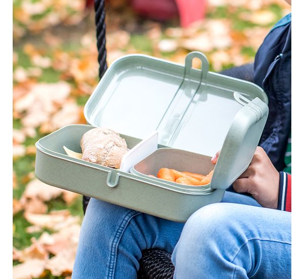 Ланч-бокс Pascal, Organic, 23,3х6,7х17 см, красный, Koziol, изображение 5