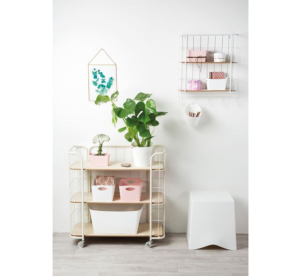 Контейнер для хранения Boxxx, Organic, 1 л, розовый, Koziol, изображение 8