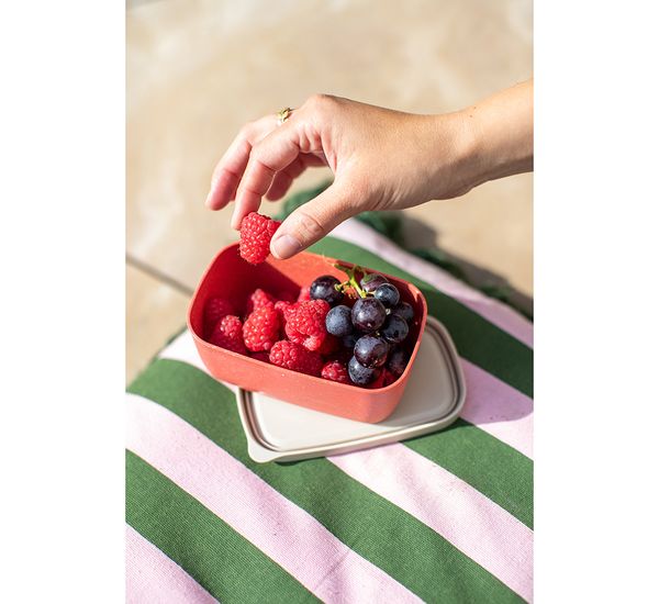 Ланч-бокс Candy, Organic, 12,4х5,3х8 см, песочный, Koziol, изображение 2