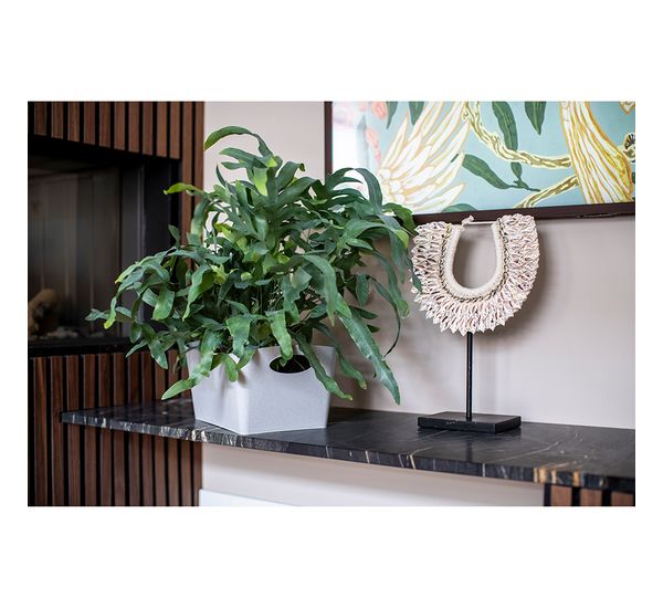 Контейнер для хранения Boxxx, Organic, 3,5 л, розовый, Koziol, изображение 10