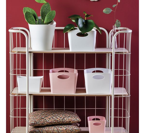 Контейнер для хранения Boxxx, Organic, 1 л, зеленый, Koziol, изображение 5