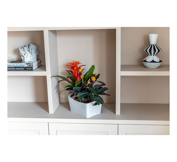 Контейнер для хранения Boxxx, Organic, 3,5 л, синий, Koziol, изображение 11