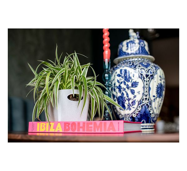 Контейнер для хранения Boxxx, Organic, 1 л, розовый, Koziol, изображение 11