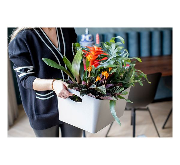 Контейнер для хранения Boxxx, Organic, 15 л, синий, Koziol, изображение 7