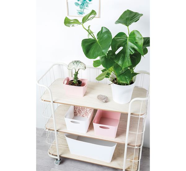 Контейнер для хранения Boxxx, Organic, 1 л, розовый, Koziol, изображение 6