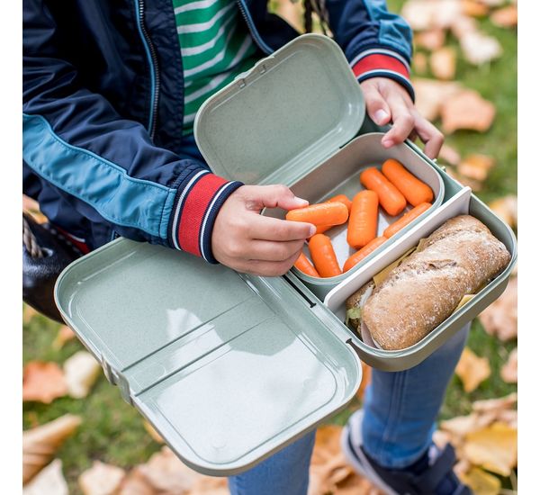 Ланч-бокс Pascal, Organic, 23,3х6,7х17 см, розовый, Koziol, изображение 2