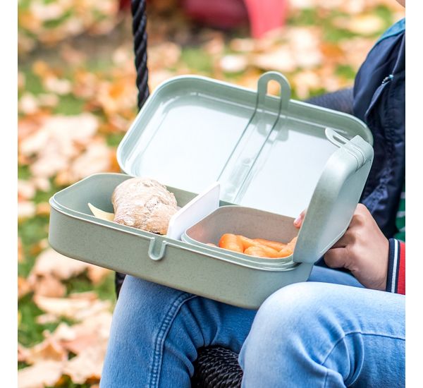 Ланч-бокс Pascal, Organic, 23,3х6,7х17 см, зеленый, Koziol, изображение 4